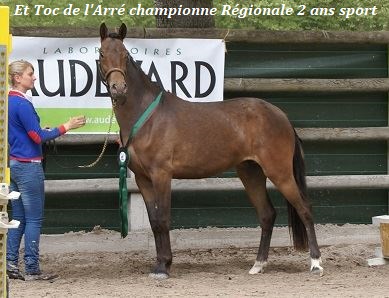 Et Toc de l'Arre