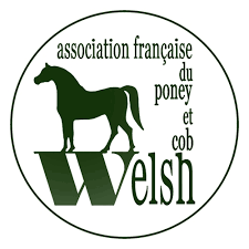 Logo de l'Association des Welsh