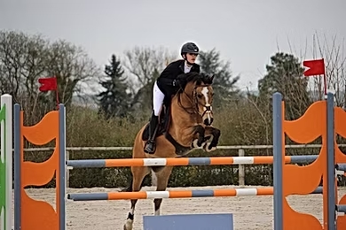 Satine Sponte